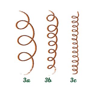 Type 3 - Curly sub classification image