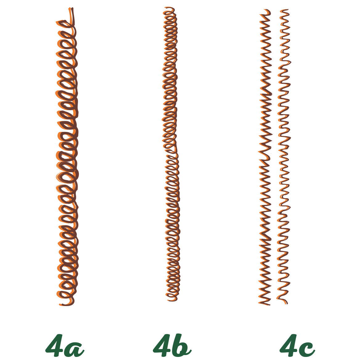 Type 4 - Coily sub classification image